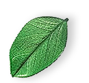 https://highwash.pl/wp-content/uploads/2025/07/floating_leaf_01.png
